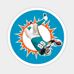 DOLPHINS INELIGIBLE Magnet